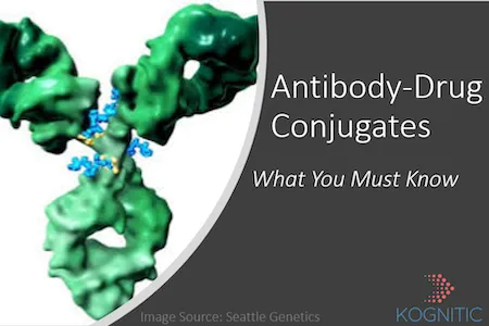 What you must know about ADCs